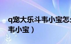 q宠大乐斗韦小宝怎么获得（q宠大乐斗佣兵韦小宝）