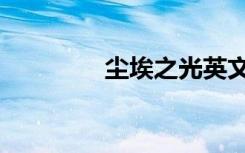 尘埃之光英文（尘埃之光）