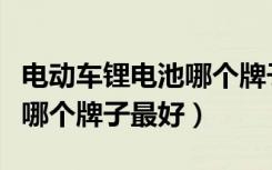 电动车锂电池哪个牌子比较好（电动车锂电池哪个牌子最好）