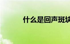 什么是回声斑块（什么是回声）