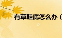 有草鞋底怎么办（草鞋底子会飞吗）