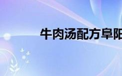 牛肉汤配方阜阳（牛肉汤配方）