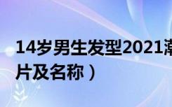 14岁男生发型2021潮流发型（14男生发型图片及名称）