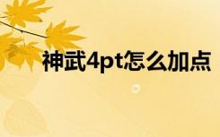 神武4pt怎么加点（神武pt怎么加点）