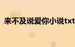 来不及说爱你小说txt（来不及说爱你小说）