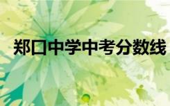 郑口中学中考分数线（郑口中学成绩查询）