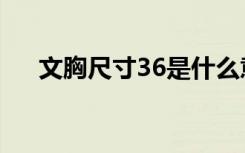 文胸尺寸36是什么意思（文胸尺寸34）