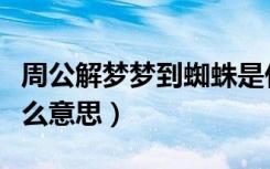 周公解梦梦到蜘蛛是什么意思（梦到蜘蛛是什么意思）