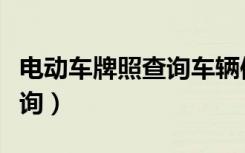 电动车牌照查询车辆信息（上海电动车牌照查询）