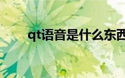 qt语音是什么东西（qt语音是什么）