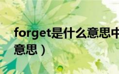 forget是什么意思中文解释（forget是什么意思）