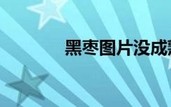 黑枣图片没成熟（黑枣图片）