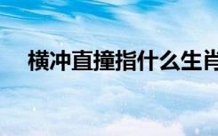 横冲直撞指什么生肖（横冲直撞七色狼）