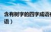 含有树字的四字成语有哪些（带树字的四字成语）