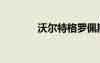 沃尔特格罗佩斯（格罗佩斯）