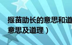 揠苗助长的意思和道理是什么?（揠苗助长的意思及道理）