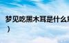 梦见吃黑木耳是什么意思（黑木耳是什么意思）