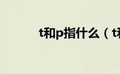 t和p指什么（t和p是什么意思）