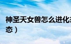 神圣天女兽怎么进化来的（神圣天女兽堕落形态）