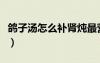 鸽子汤怎么补肾炖最营养（鸽子汤怎么炖补肾）