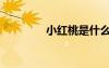 小红桃是什么（红桃小丁）