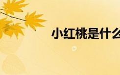 小红桃是什么（红桃小丁）