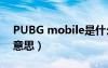 PUBG mobile是什么意思（mobile是什么意思）