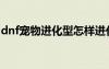 dnf宠物进化型怎样进化（dnf宠物进化任务）