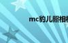 mc豹儿照相机（mc豹儿）