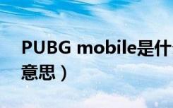 PUBG mobile是什么意思（mobile是什么意思）