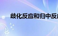 歧化反应和归中反应定义（歧化反应）