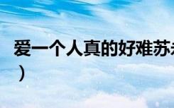 爱一个人真的好难苏永康（爱一个人真的好难）