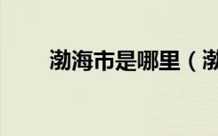 渤海市是哪里（渤海市属于哪个省）