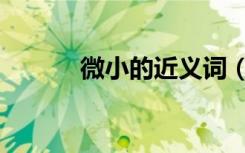 微小的近义词（微小的反义词）