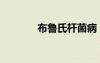布鲁氏杆菌病（布鲁氏杆菌）