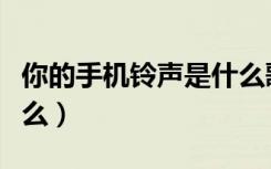 你的手机铃声是什么歌曲（你的手机铃声是什么）