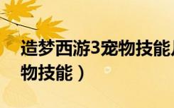 造梦西游3宠物技能几级领悟（造梦西游3宠物技能）