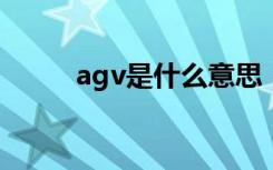 agv是什么意思（gv是什么意思）