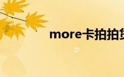more卡拍拍贷（拍拍卡盟）