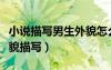 小说描写男生外貌怎么描写（现代小说男生外貌描写）