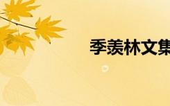 季羡林文集（季羡林）