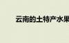 云南的土特产水果（云南的土特产）