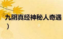九阴真经神秘人奇遇（九阴真经神行无踪奇遇）