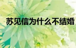 苏见信为什么不结婚（苏见信为什么单飞）