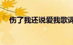 伤了我还说爱我歌词（伤了我还说爱我）