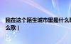 我在这个陌生城市里是什么歌曲（我在这个陌生城市里是什么歌）