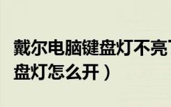 戴尔电脑键盘灯不亮了怎么办呢（戴尔电脑键盘灯怎么开）