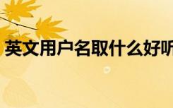英文用户名取什么好听的名字（用户英文名）