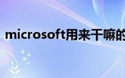 microsoft用来干嘛的（Microsoft怎么读）