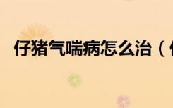 仔猪气喘病怎么治（仔猪气喘病用什么药）